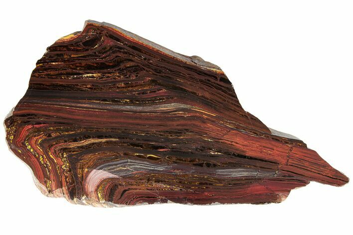 Polished Tiger Iron Stromatolite Slab - Billion Years #185960